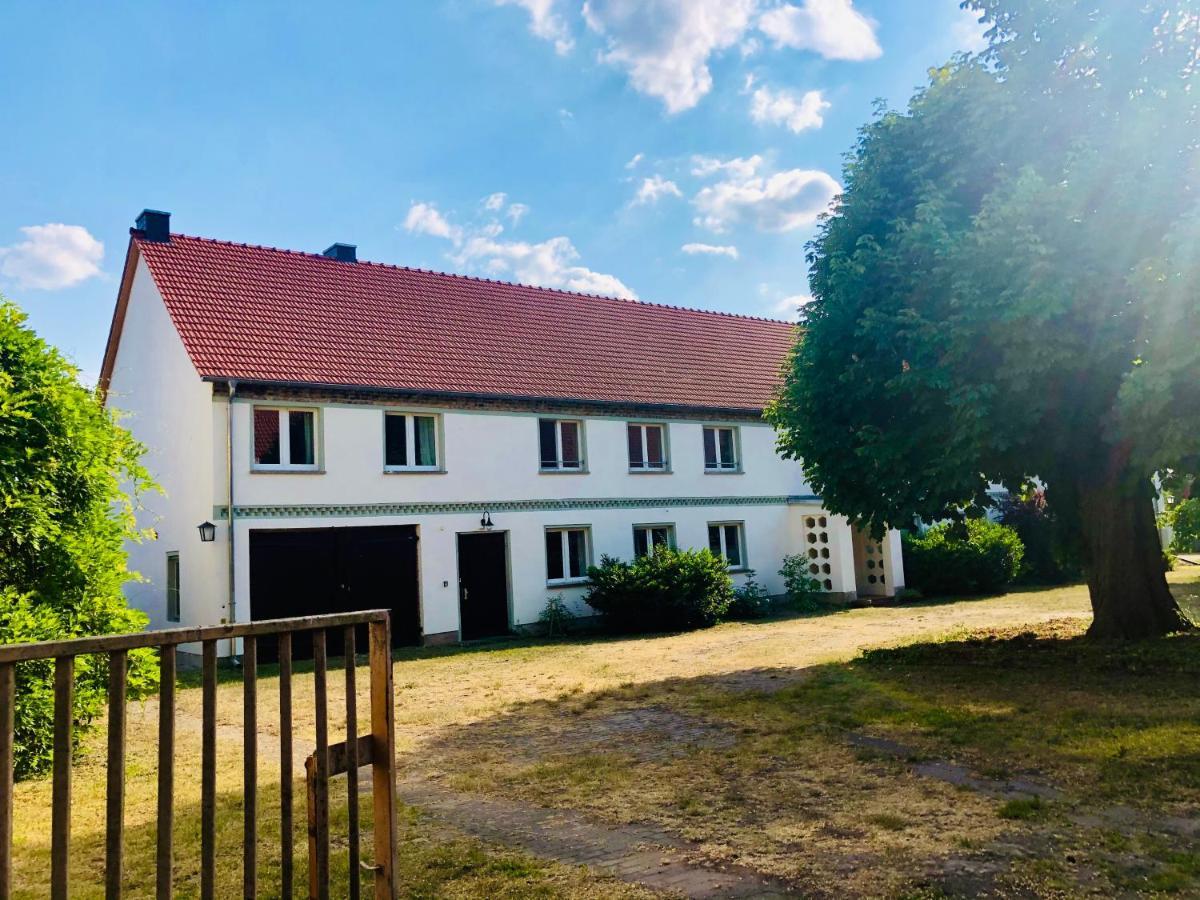 Neu - Ferien Auf Dem Bruderhof Am Pritzerber See Hohenferchesar 外观 照片